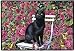 Fiddlers Elbow- ROSE GARDEN DOORMAT