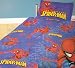 THE AMAZING SPIDERMAN SINGLE DUVET SET