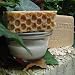 ~Handcrafted 100% Pure Goats Milk and Oatmeal Bar Soap with Beeswax