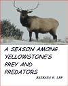 A Season Among Yellowstone's Prey and Predators