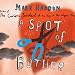 Books : A Spot of Bother: A Novel