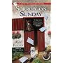 Sorrow on Sunday (Lois Meade Mysteries)