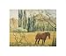 Criollo de los Andes by Chloe Henderson poster print,14 in. x 12 in.