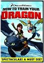 How to Train Your Dragon (Single Disc Edition)