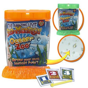 Sea Monkeys - Ocean Zoo Picture