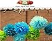 Aspire 36 Pcs Paper Pom Poms Blue Tissue Paper Flower Mixed Sizes Baby Shower Wedding Party Favors
