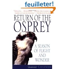 Return of the Osprey: A Season of Flight and Wonder