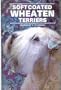 Soft-Coated Wheaten Terriers