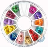 Nail Art Accessories Real Dry Dried Flowers 12 Colors Bundle Set in Wheel - Ready to Use by Winstonia