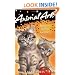 Kittens in the Kitchen (Animal Ark)