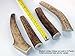 JimHodgesDogTraining Brand - Grade A Premium Quality Elk Antler Dog Chew - Medium Whole Antlers 2-Pack (4.5-8 inches) - Great For Teething Puppies & Small to Medium Sized Dogs - Non Aggressive Chewers