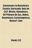 Communes in Hunedoara County: Gurasada, Baia de Cri, Mintia, Hunedoara, or Tioara de Sus, Dobra, Hunedoara, Sarmizegetusa, Densu, Zam-