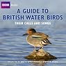 A Guide to British Water Birds: Their Calls and Songs