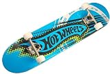 Skateboard komplett und fertig montiert ABEC 5 Lager