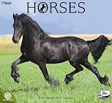 2011  Horses  Wall Calendar