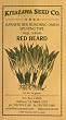 Japanese Red Beard Bunching Onion Seeds
