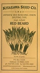 Japanese Red Beard Bunching Onion Seeds