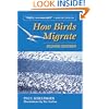 How Birds Migrate