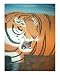 Bengal Tiger Animals Giclee Poster Print by Cedric Colond, 16x20