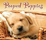 Pooped Puppies 2009 Calendar