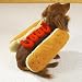 Casual Canine Hot Diggity Dog Costume Lg Ketchup