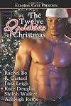 The Twelve Quickies of Christmas, Volume 1