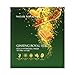 Nature Republic Ginseng Royal Silk Gold HYDROGEL Mask Sheets 6pcs Premium Facial Mask