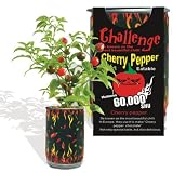 Cherry Pepper All-included-Planter Kit ...Just Open..water...watch It Grow!!!