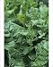 Photographic Prints of Perpetual spinach (Beta vulgaris) from Science Photo Library