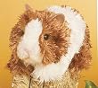 Marble Guinea Pig 7" Plush Stuffed Animal by Douglas Cuddle Toy