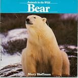 Bear (Animals in the Wild)