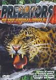 Predators Of The Animal World