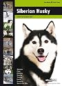Siberian Husky: Dog Breed Expert Series