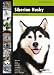Siberian Husky: Dog Breed Expert Series