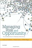Managing risk and opportunity : the governance of strategic risk-taking