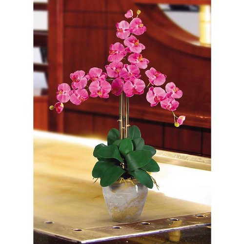 Triple Stem Phalaenopsis Silk Orchid Arrangement