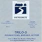 TRILO-G: Foundations, Bridges, Action