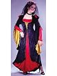 Renaissance Countess Royalty Queen Costume Halloween Middle Ages