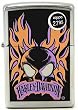 Zippo Harley-Davidson Orange/Purple Skull & FlamesLighter (Silver, 5 1/2 x 3 1/2 cm)