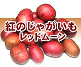 【無農薬】紅じゃがいも。レッドムーン 1kg　税込 送料別　20?まで送料同一料金 料金