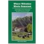 Where Wiltshire Meets Somerset: 20 Best Walks in the Country Around Bath, Bradford on Avon, Trowbridge, Westbury, Warminster and Frome