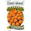 Ferry-Morse 2158 Carrot Seeds, Parisian (450 Milligram Packet)