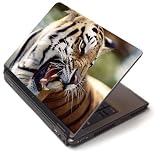 Review Kesa Design  / Tiger jaws - Toshiba Lapjacks skin to fit 15