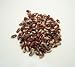 Jacob Cattle Beans