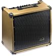 Stagg 60 Watt RMS Acoustic Guitar Amplifier with Reverb