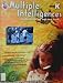 Multiple Intelligences Kindergarten