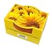 Mini-Pflanzset Zwergsonnenblume
