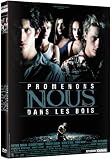 Promenons-nous dans les bois