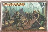 Games Workshop Wood Elf Glade Guard Box Set