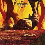 The Forest of Oversensitivity [Vinyl]